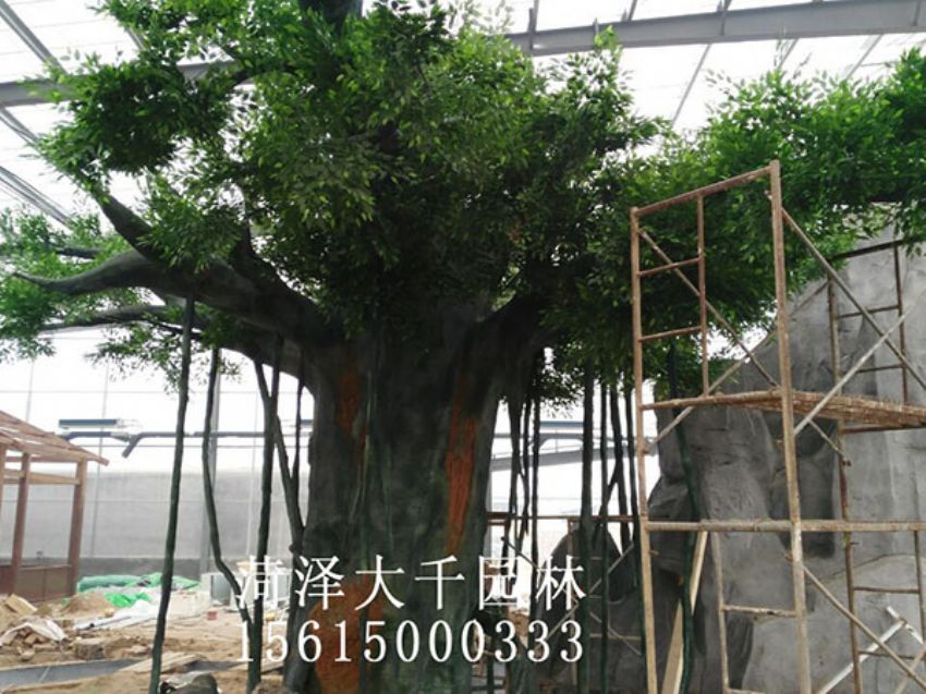 點(diǎn)擊查看詳細(xì)信息<br>標(biāo)題：假樹(shù) 閱讀次數(shù)：1577
