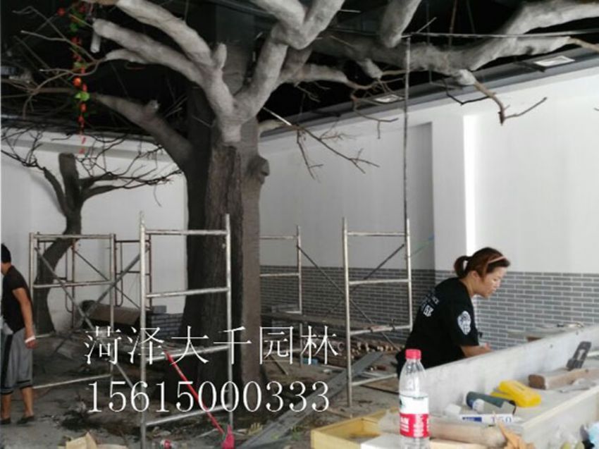 點擊查看詳細信息<br>標題：假樹 閱讀次數：1519
