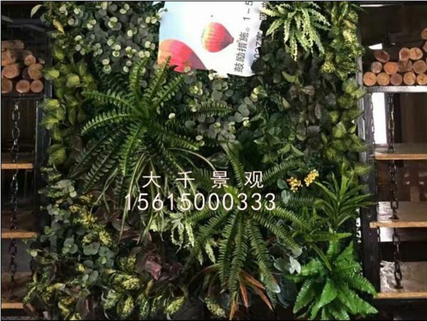 點擊查看詳細信息<br>標題：綠植墻 閱讀次數(shù)：1549