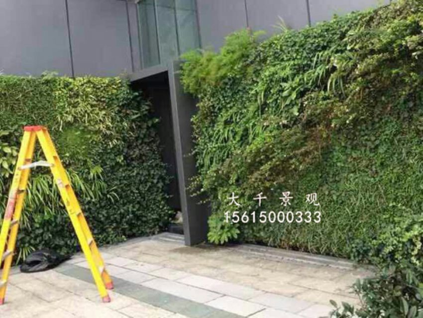 點擊查看詳細信息<br>標題：綠植墻 閱讀次數(shù)：1669