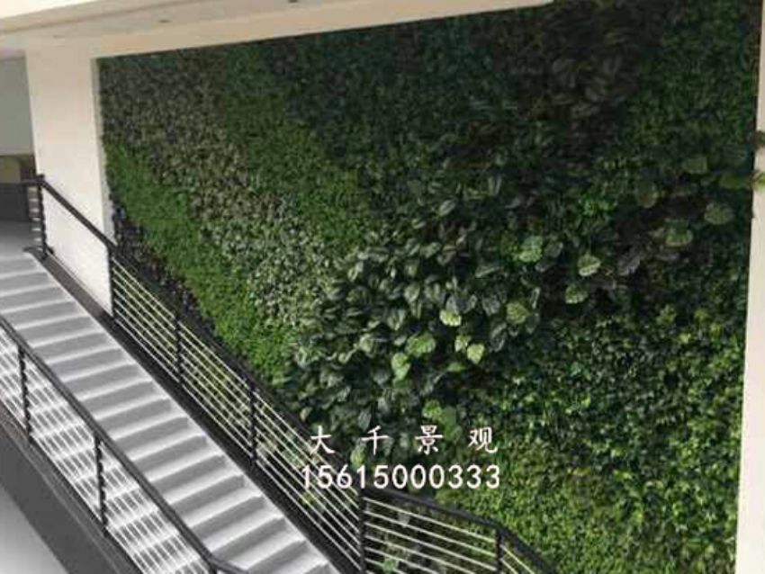 點擊查看詳細信息<br>標題：綠植墻 閱讀次數(shù)：1826