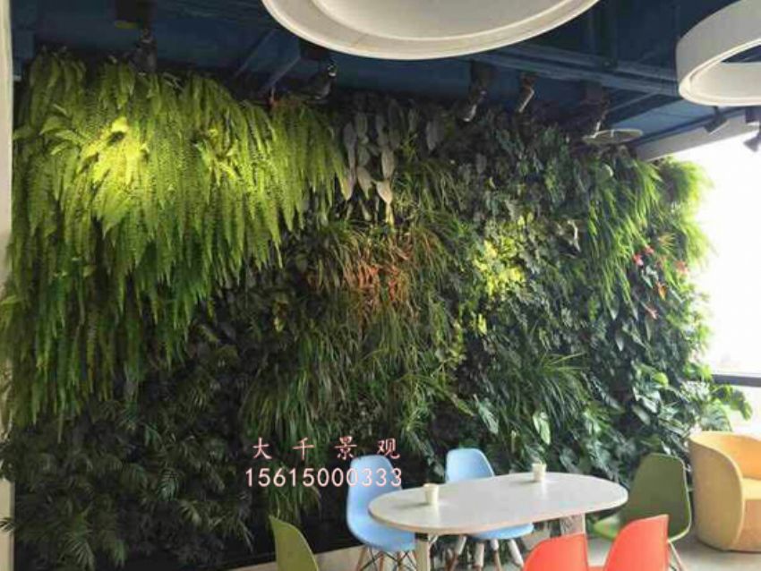 點擊查看詳細信息<br>標題：綠植墻 閱讀次數：2123