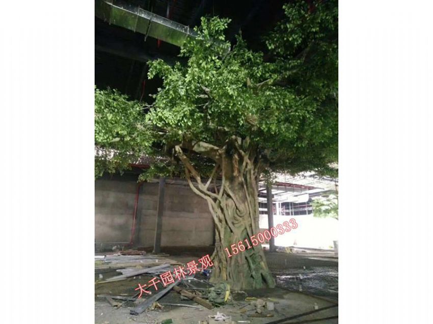 點(diǎn)擊查看詳細(xì)信息<br>標(biāo)題：假樹(shù) 閱讀次數(shù)：2714