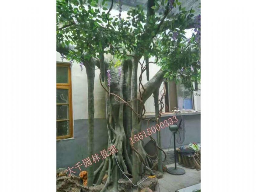 點(diǎn)擊查看詳細(xì)信息<br>標(biāo)題：假樹(shù) 閱讀次數(shù)：2783
